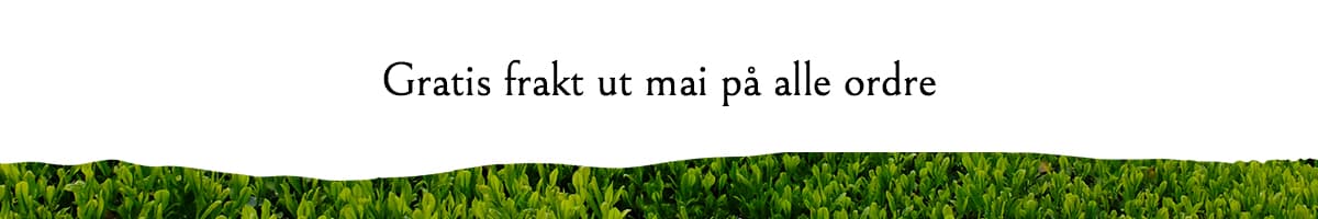 Gratis frakt på alle ordre ut mai!