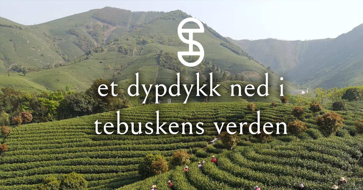 Tre Typer: En Dypdykk i Mangfoldet